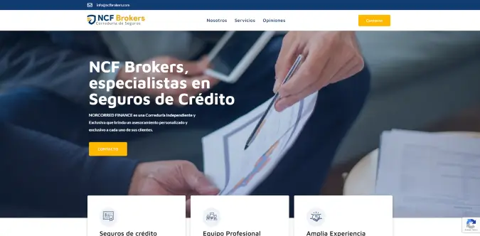 Web de Correduría de Seguros en Bilbao dise&ntilde;ada por NireWeb