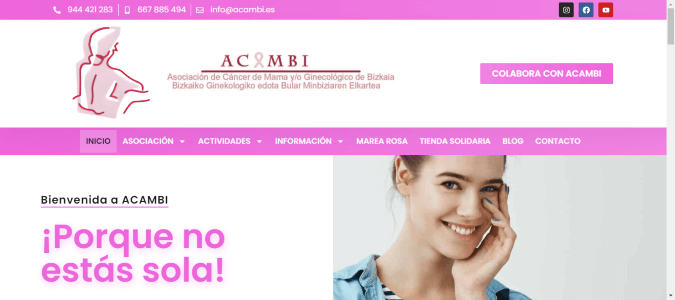 Web de Asociación Cáncer de Mama dise&ntilde;ada por NireWeb