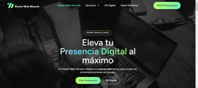 Web de Diseño Web Alicante dise&ntilde;ada por NireWeb