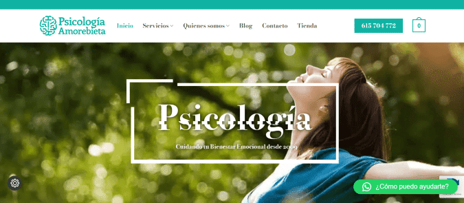 Web de Psicología Amorebieta dise&ntilde;ada por NireWeb